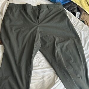 Women’s Classic Greenish Pants